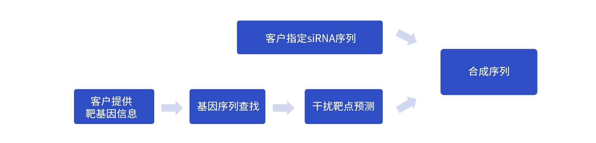 siRNA合成