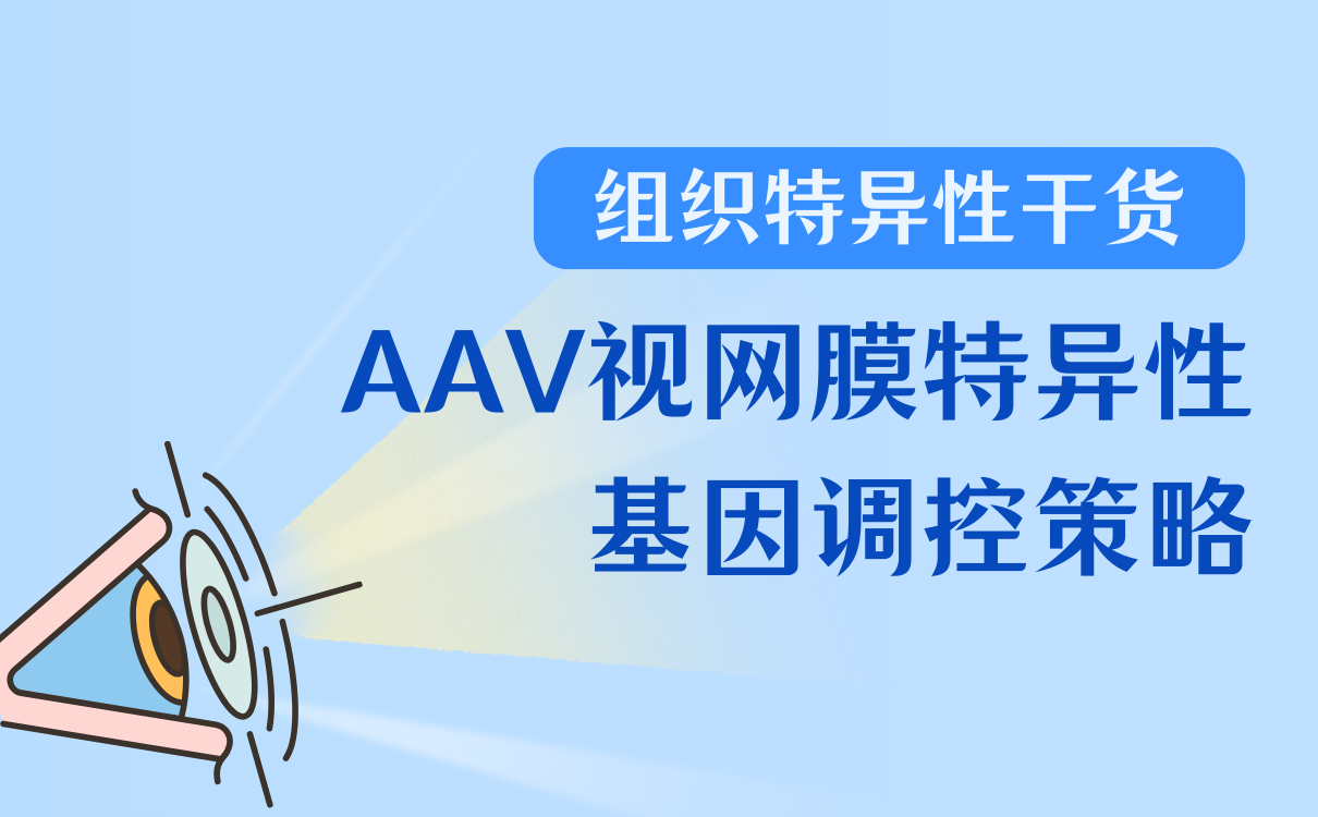 AAV实现视网膜组织特异性基因调控