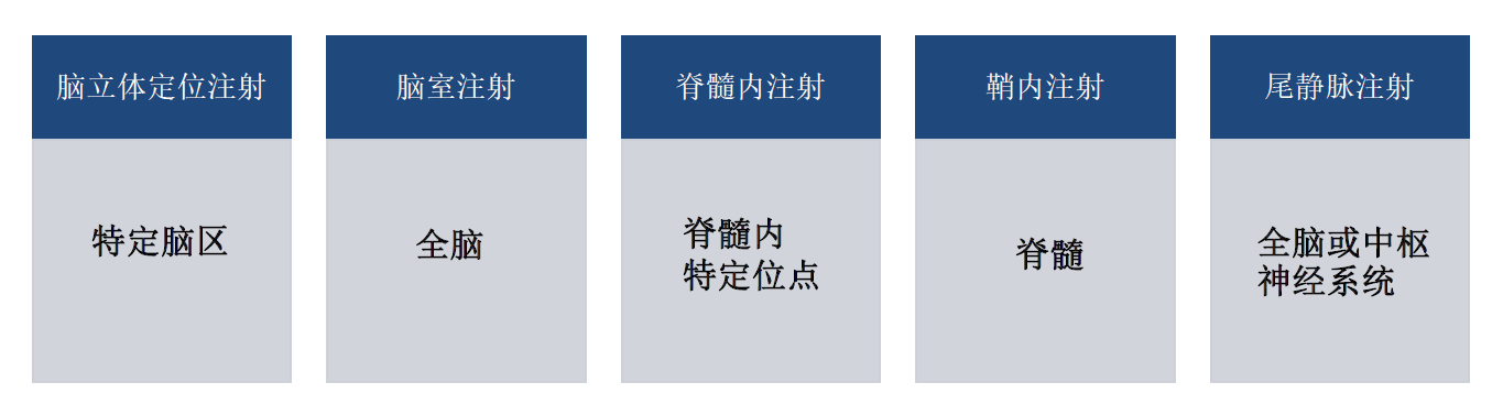 AAV载体不同注射方式