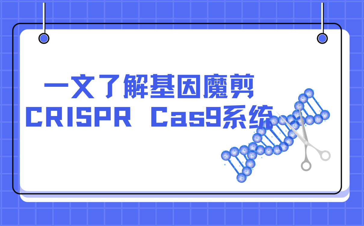 CRISPR Cas9基因编辑原理与应用
