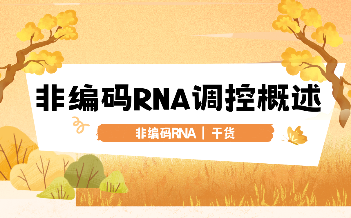 非编码RNA调控概述