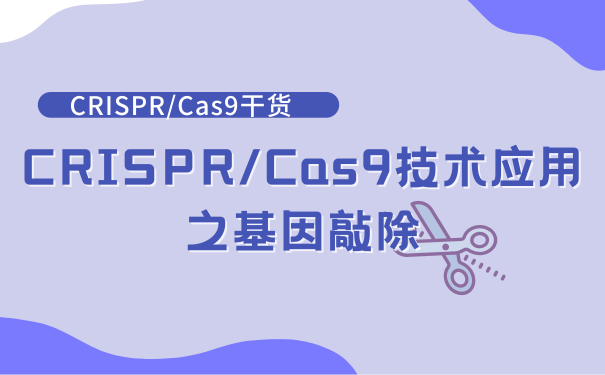 CRISPR/Cas9基因敲除