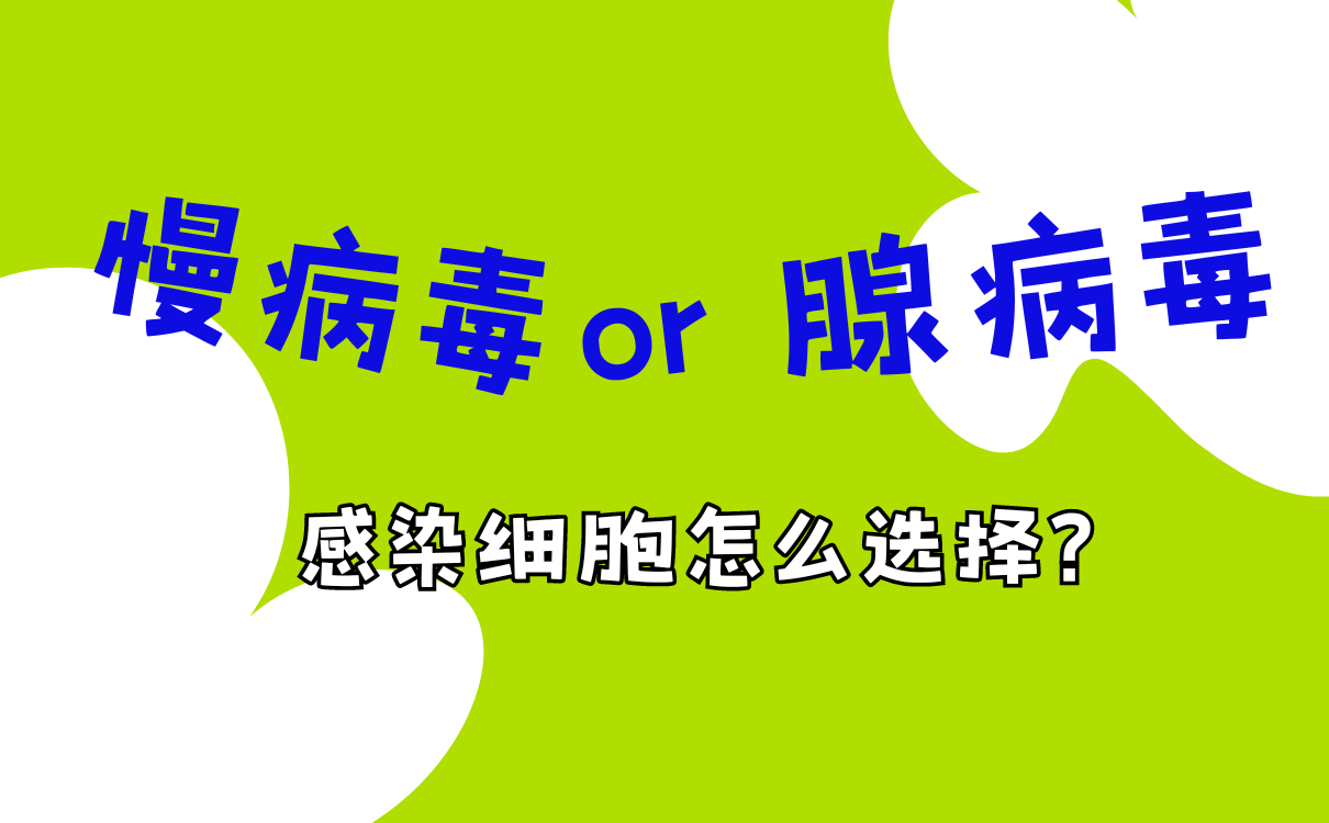 慢病毒和腺病毒的差别