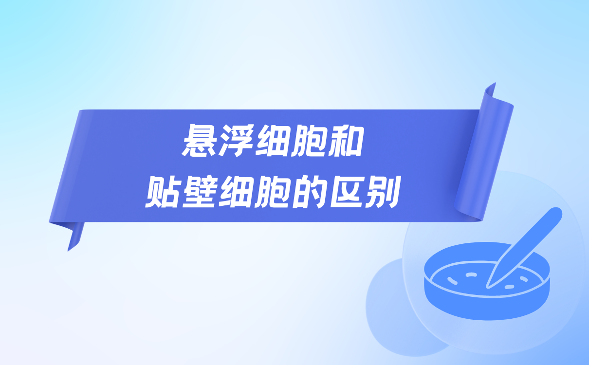 悬浮细胞和贴壁细胞的区别