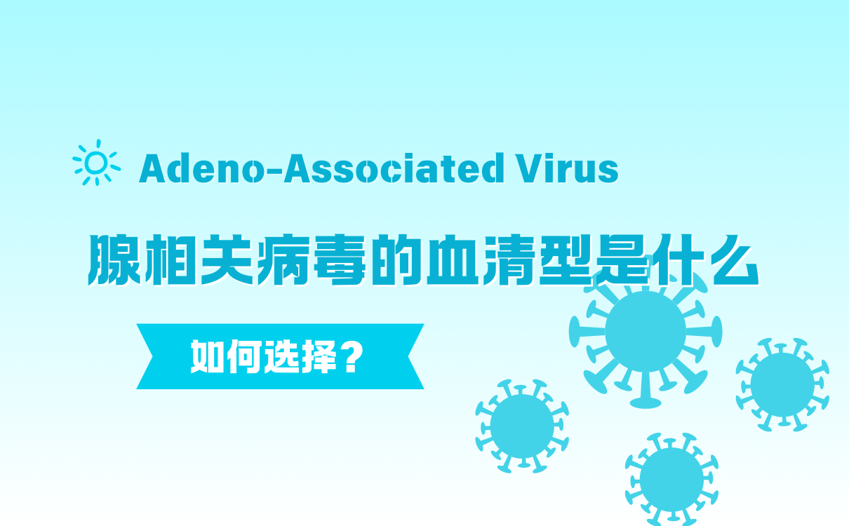 腺相关病毒的血清型是什么？如何选择？