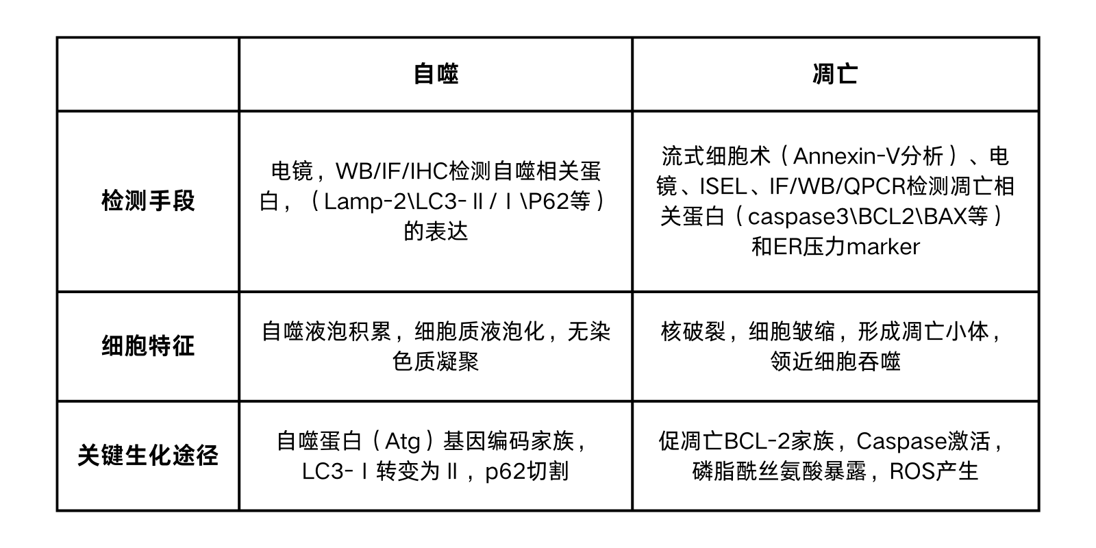 自噬和凋亡的区别