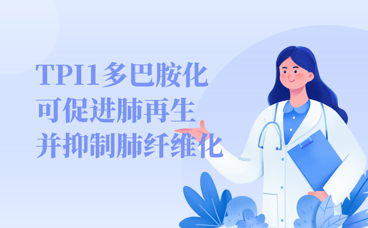 TPI1多巴胺化可促进肺再生并抑制肺纤维化