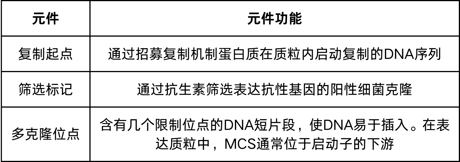 质粒构建