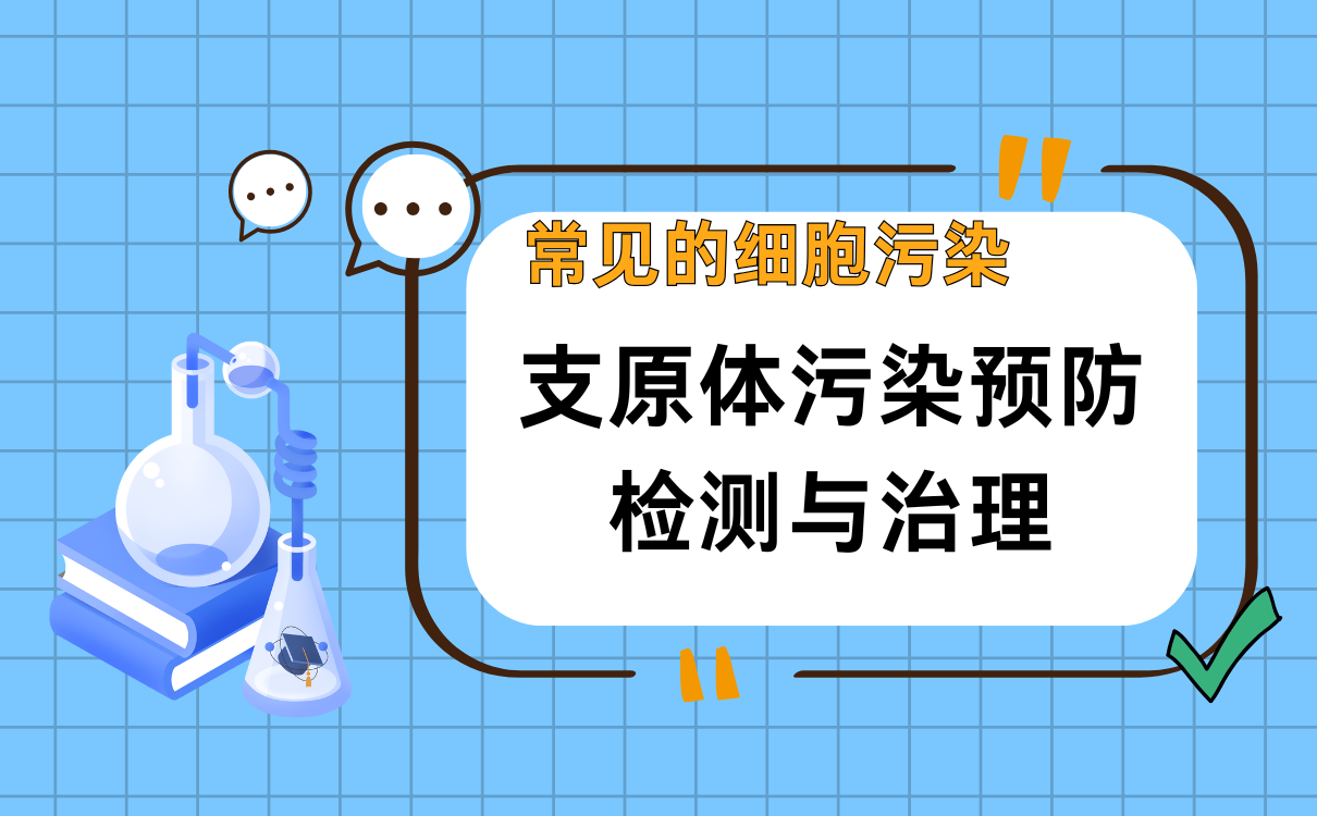 常见的细胞污染-支原体污染预防、检测与治理